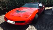 1991 Pontiac Firebird 1991 Pontiac Firebird