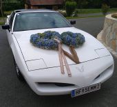 1991 Pontiac Firebird 3.1 V6 1991 Pontiac Firebird 3.1 V6